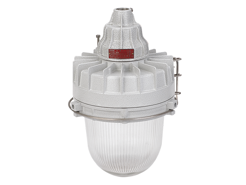 Pendant lighting explosion proof